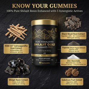 Premium Shilajit Gummies Manufacturer: 3000mg Pure Himalayan Resin | 60% Fulvic Acid | KSM-66 Ashwagandha - Private Label OEM/ODM - High Potency Male Vitality Supplements, Low MOQ 500, GMP Certified Global Export Supply - Image 3