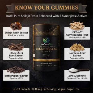 Wholesale Shilajit Gummies Manufacturer: 3000mg Himalayan Resin | 60% Fulvic Acid | KSM-66 Private Label OEM/ODM, Low MOQ 500 Units - Image 3