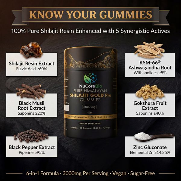 Wholesale Shilajit Gummies Manufacturer: 3000mg Himalayan Resin | 60% Fulvic Acid | KSM-66 Private Label OEM/ODM, Low MOQ 500 Units