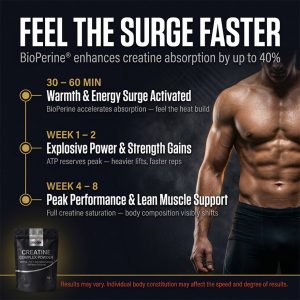Bulk Creatine Complex Powder OEM/ODM: 5-in-1 Private Label Fitness Supplement with BioPerine & Taurine, High-Purity Micronized Creatine Monohydrate Manufacturing - Low MOQ & Rapid Fulfillment for SME Brands - Image 5