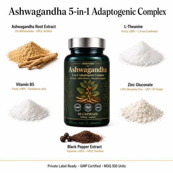 OEM/ODM Ashwagandha Extract Capsule | 5-in-1 Stress Relief Adaptogen | Private Label Male Vitality Supplement Mfg
