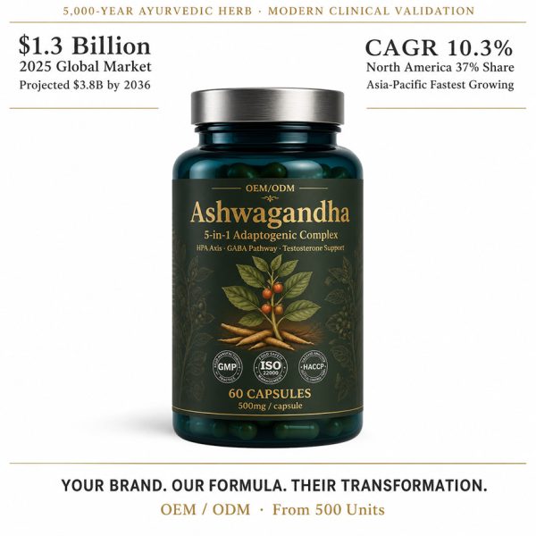 OEM/ODM Ashwagandha Extract Capsule | 5-in-1 Stress Relief Adaptogen | Private Label Male Vitality Supplement Mfg