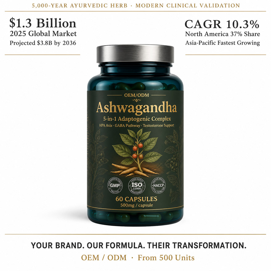 OEM/ODM Ashwagandha Extract Capsule | 5-in-1 Stress Relief Adaptogen | Private Label Male Vitality Supplement Mfg - Image 2