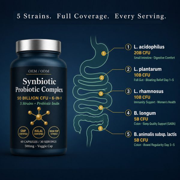 OEM/ODM Synbiotic Probiotic Supplement 50B CFU | Custom Peptide Formula Private Label | 6-in-1 Gut Health Bioactive Peptides Mfg