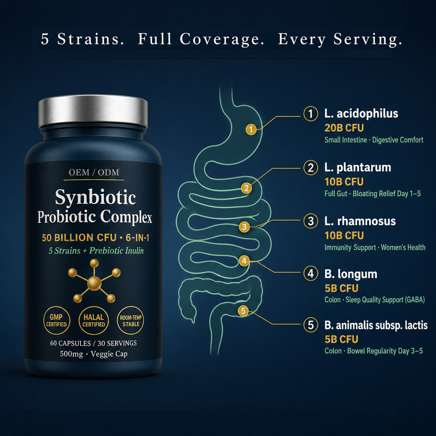 OEM/ODM Synbiotic Probiotic Supplement 50B CFU | Custom Peptide Formula Private Label | 6-in-1 Gut Health Bioactive Peptides Mfg - Image 3