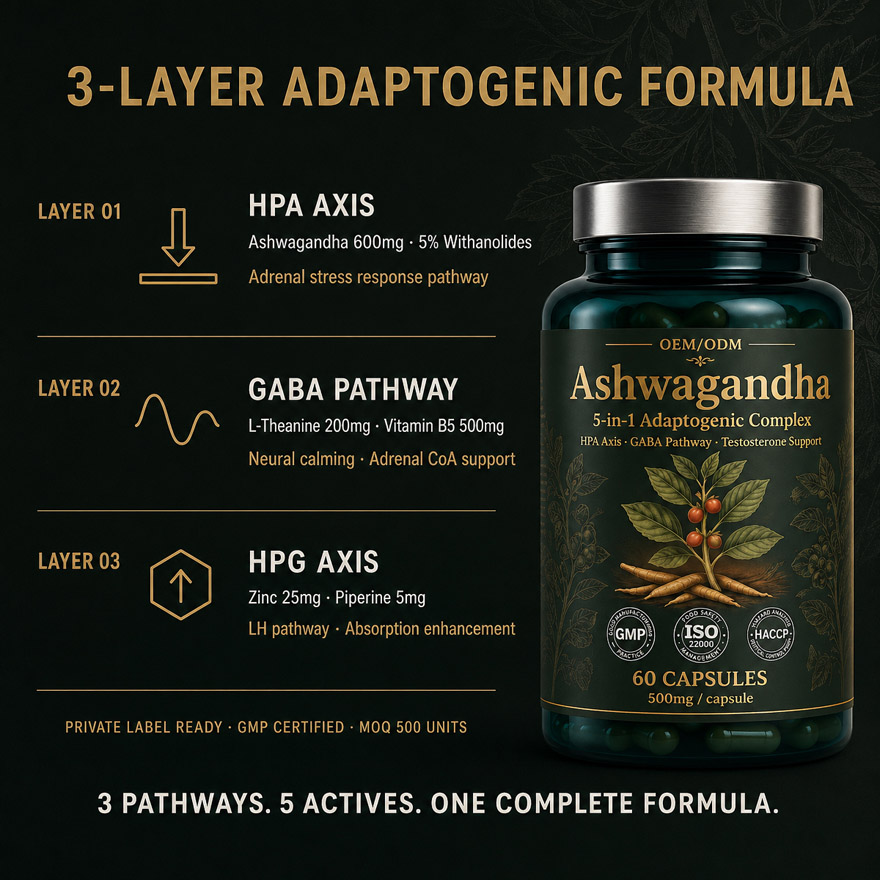OEM/ODM Ashwagandha Extract Capsule | 5-in-1 Stress Relief Adaptogen | Private Label Male Vitality Supplement Mfg - Image 4
