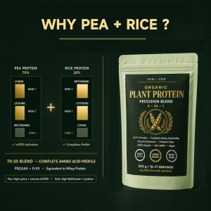 OEM/ODM Organic Plant Protein Powder | 4-in-1 GLP-1 Friendly Blend | Private Label Vegan Pea & Rice Protein Mfg - Image 3