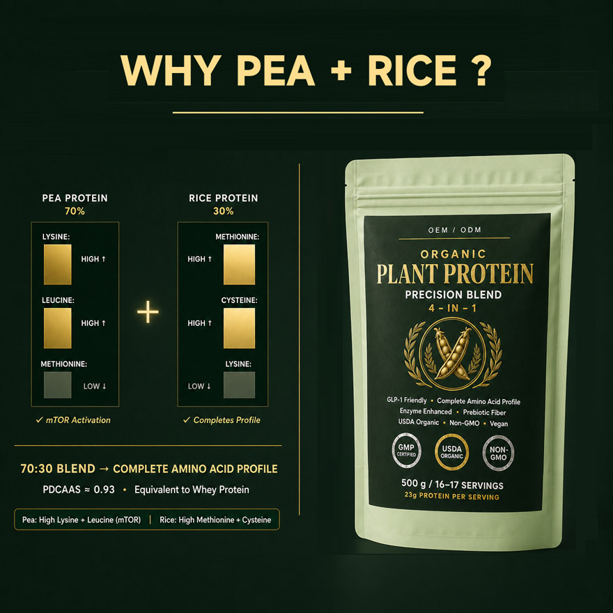 OEM/ODM Organic Plant Protein Powder | 4-in-1 GLP-1 Friendly Blend | Private Label Vegan Pea & Rice Protein Mfg - Image 3