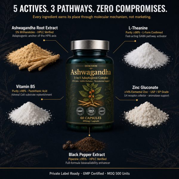 OEM/ODM Ashwagandha Extract Capsule | 5-in-1 Stress Relief Adaptogen | Private Label Male Vitality Supplement Mfg