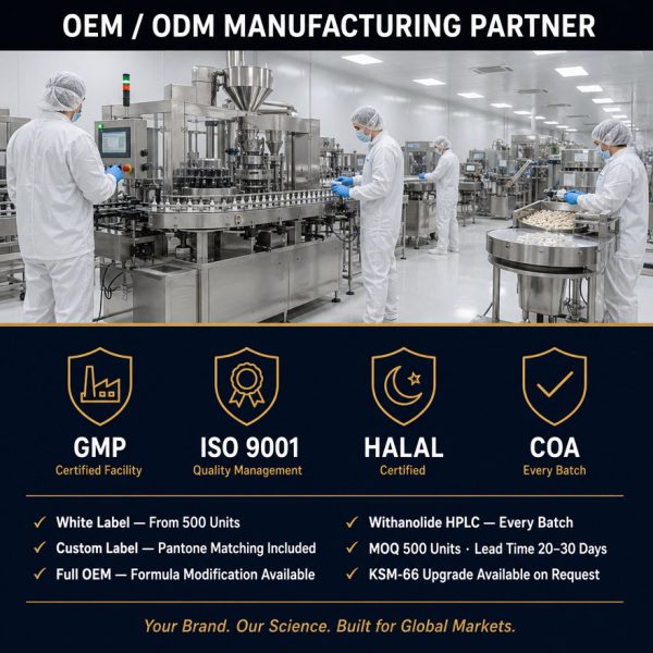 OEM/ODM Bioactive Peptide Supplement | Custom NGF Brain Formula | Private Label Lion's Mane Extract Capsule Mfg