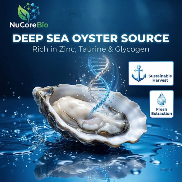 Oyster Protein Peptide