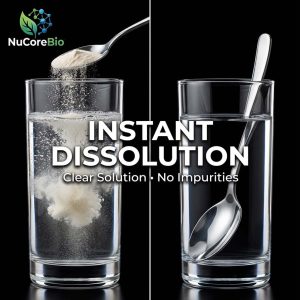 Premium Oyster Peptide Powder for Men's Health | Bioactive Zinc Source OEM/ODM | 800 Dalton Low Molecular Weight | GMP Certified Bulk Supplement | Oyster Protein Peptide - Image 4