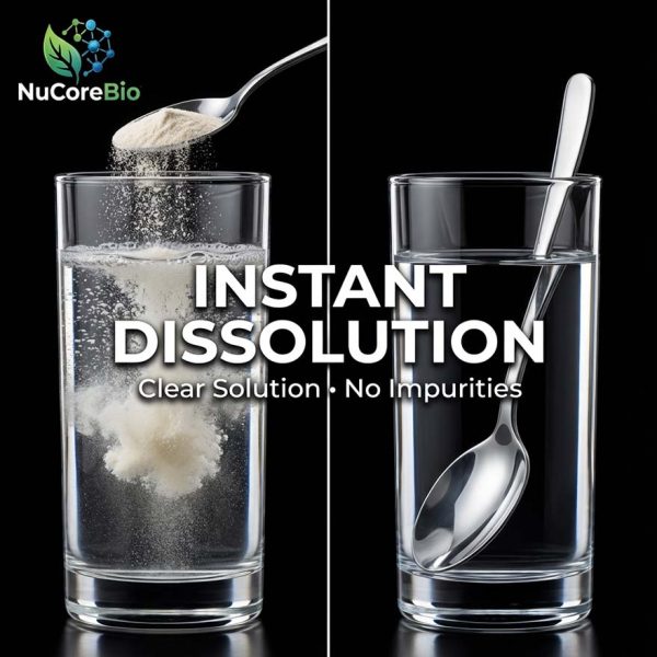 Premium Oyster Peptide Powder for Men's Health | Bioactive Zinc Source OEM/ODM | 800 Dalton Low Molecular Weight | GMP Certified Bulk Supplement | Oyster Protein Peptide