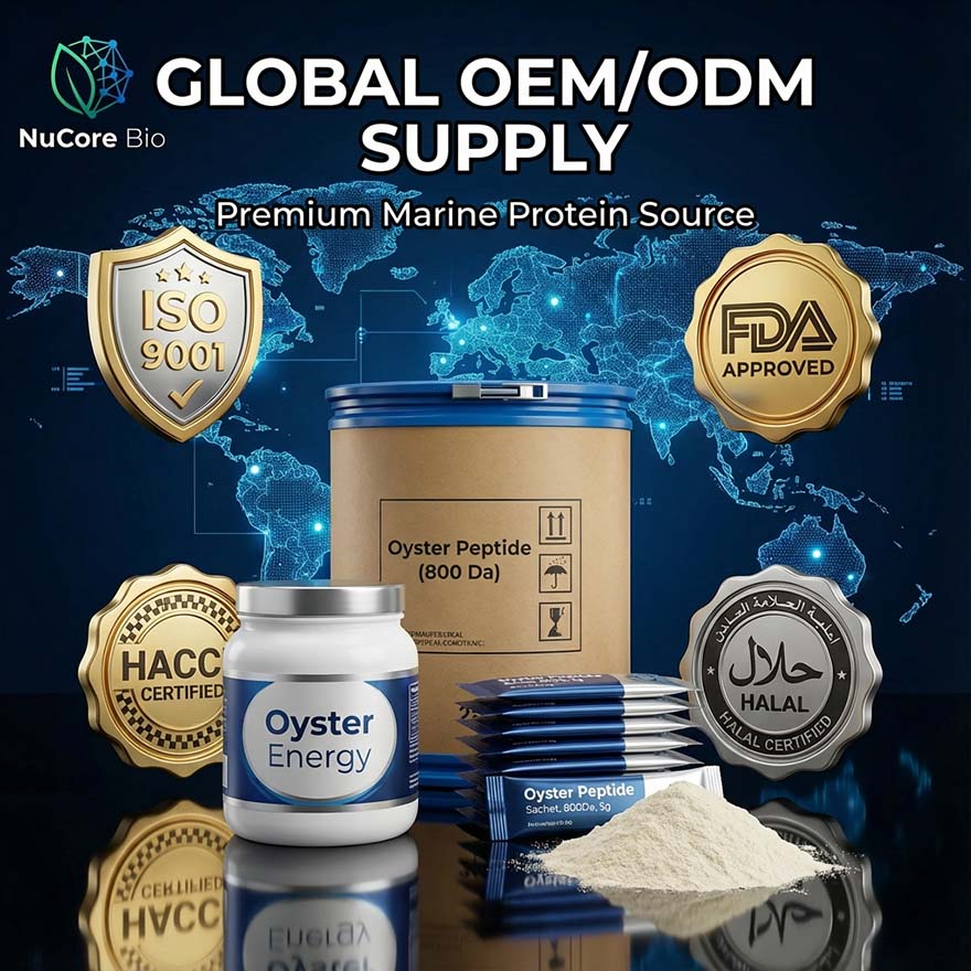 Premium Oyster Peptide Powder for Men