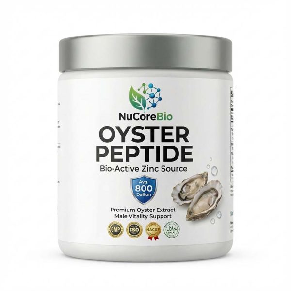 Premium Oyster Peptide Powder for Men's Health | Bioactive Zinc Source OEM/ODM | 800 Dalton Low Molecular Weight | GMP Certified Bulk Supplement | Oyster Protein Peptide