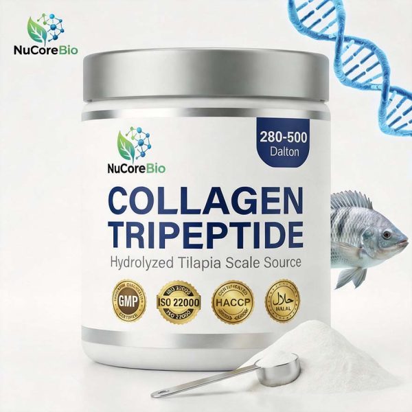 Collagen Tripeptide