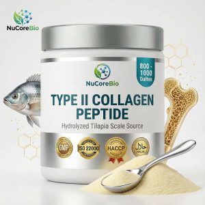 Undenatured Type II Collagen Peptide