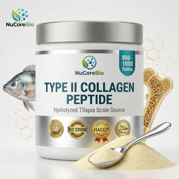 Undenatured Type II Collagen Peptide