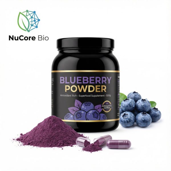 Blueberry Juice Powder