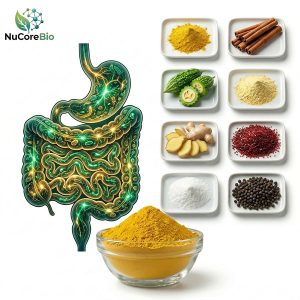 OEM Berberine HCl 1000mg Powder | Triple AMPK Activation Formula | High-Absorption Bioavailability with Piperine | Natural GLP-1 Support Supplement | Stable Post-Meal Blood Sugar Control | Private Label Metabolic Blend | Custom Weight Management Solutions - Image 3