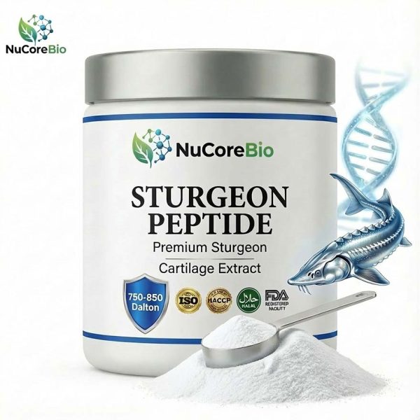 Sturgeon Protein Peptide