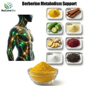 OEM Berberine HCl 1000mg Powder | Triple AMPK Activation Formula | High-Absorption Bioavailability with Piperine | Natural GLP-1 Support Supplement | Stable Post-Meal Blood Sugar Control | Private Label Metabolic Blend | Custom Weight Management Solutions - Image 4