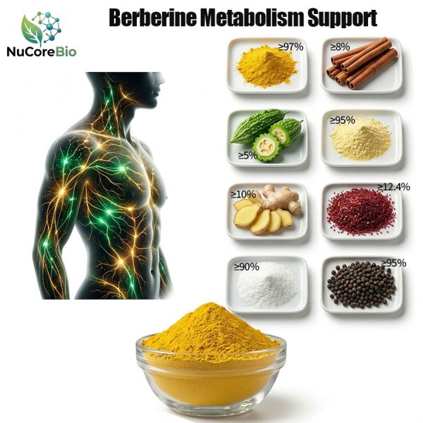 OEM Berberine HCl 1000mg Powder | Triple AMPK Activation Formula | High-Absorption Bioavailability with Piperine | Natural GLP-1 Support Supplement | Stable Post-Meal Blood Sugar Control | Private Label Metabolic Blend | Custom Weight Management Solutions
