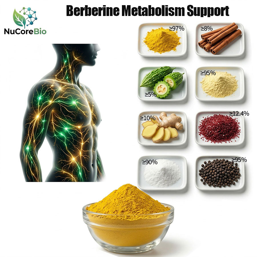 OEM Berberine HCl 1000mg Powder | Triple AMPK Activation Formula | High-Absorption Bioavailability with Piperine | Natural GLP-1 Support Supplement | Stable Post-Meal Blood Sugar Control | Private Label Metabolic Blend | Custom Weight Management Solutions - Image 4