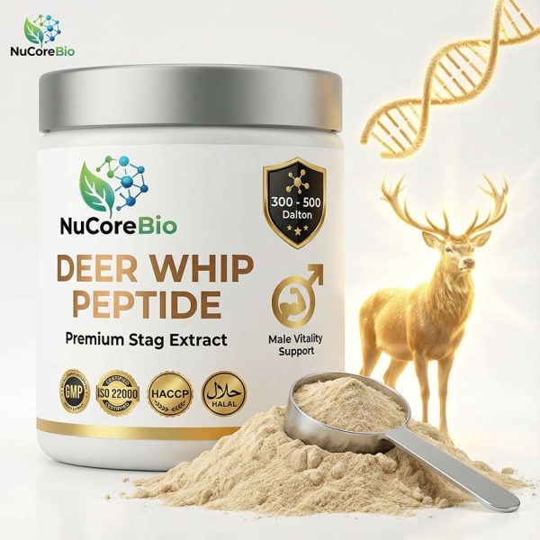 Deer Whip Protein Peptide