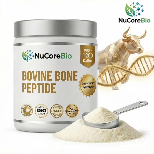 Bovine Bone Collagen Peptide