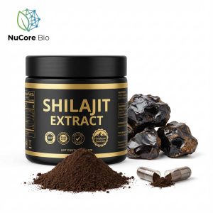 shilajit Extract