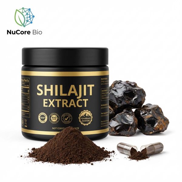 shilajit Extract