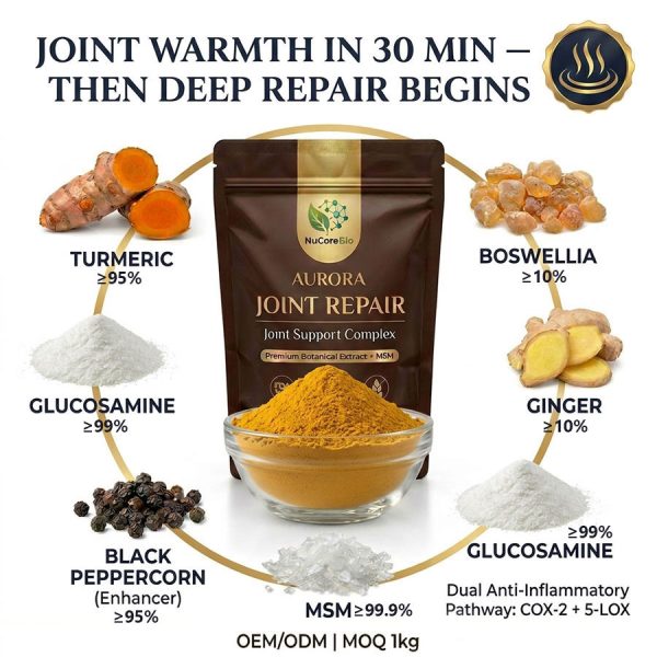 joint Support & Recovery Blend