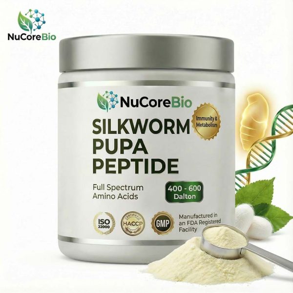 Silkworm Pupa Protein Peptide