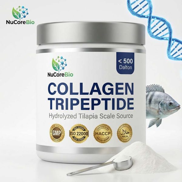 Collagen Tripeptide Powder | Ultra-Low Dalton <500 Da High GPH | Bulk Hydrolyzed Tilapia Scale Collagen for Beauty & Health | Private Label OEM/ODM Global Supply - GMP & ISO Certified