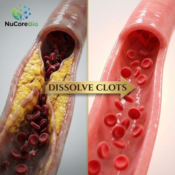 Bulk Longevity Flow Nattokinase Capsules | Lumbrokinase & CoQ10 Heart Health Supplement OEM/ODM | Private Label Cardiovascular Support Formula | GMP Certified Blood Circulation Bioactive Peptides