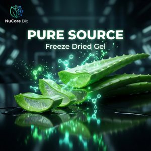 Bulk Aloe Vera Extract Powder 200:1 Concentration | Freeze Dried Gel Pure Source | OEM/ODM Private Label Supplement | US Stock Fast Shipping - Image 2