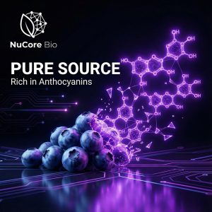 OEM Blueberry Extract Powder Bulk | 25% Anthocyanins High Purity | Custom Formula Nootropic Peptide | Low MOQ Private Label Supplement Manufacturer | US Stock & Global Wholesale | NuCore Bio Superfood Raw Material - Image 2