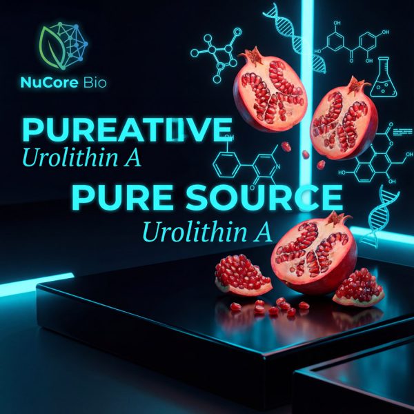 Bulk Urolithin A Powder 99% HPLC Verified | Natural Pomegranate Extract for Mitophagy & Cellular Renewal | Custom Formulation OEM/ODM Service, Low MOQ, US Stock Fast Shipping | High Flowability Raw Material for Longevity Supplements & Capsules