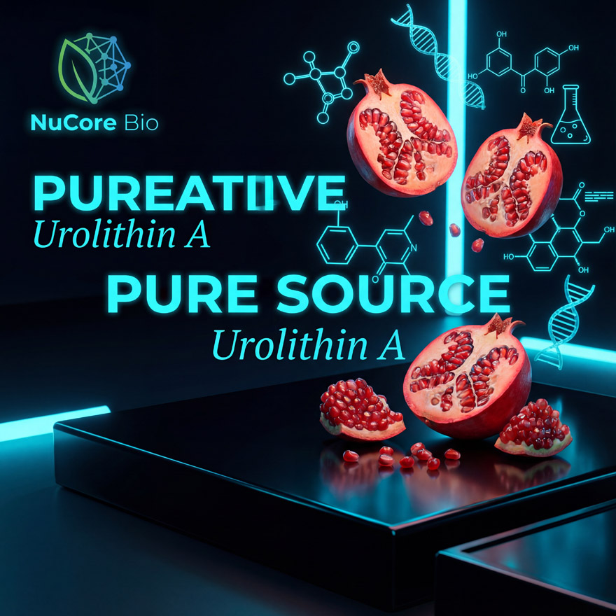 Bulk Urolithin A Powder 99% HPLC Verified | Natural Pomegranate Extract for Mitophagy & Cellular Renewal | Custom Formulation OEM/ODM Service, Low MOQ, US Stock Fast Shipping | High Flowability Raw Material for Longevity Supplements & Capsules - Image 2