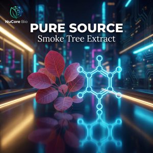 Premium Fisetin Powder 98% HPLC Verified | Natural Smoke Tree Extract for Brain Health & Anti-Aging | Custom Formula OEM/ODM Service, Low MOQ, US Stock Fast Delivery | High Flowability Raw Material for Nootropic Capsules - Image 2