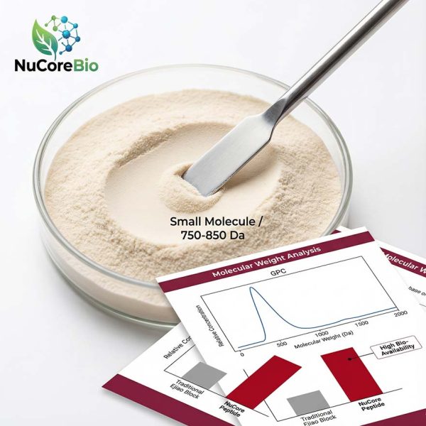 Pure Donkey-Hide Gelatin Peptide Powder, 300-500Da Bioactive Collagen for Hematopoiesis & Skin Radiance, Pharmaceutical Grade Colla Corii Asini, Global Bulk Supply, OEM/ODM Private Label Expert | Ejiao Peptide