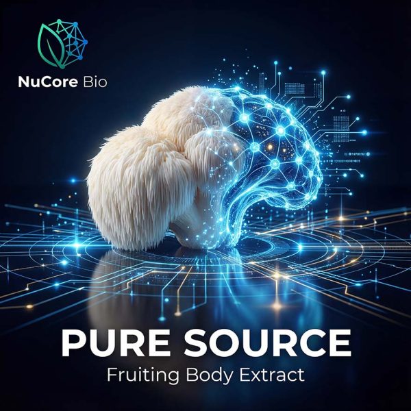 Bulk Organic Lion's Mane Mushroom Extract Powder | Beta-Glucan Verified Fruiting Body | OEM Private Label Supplement | US Stock 2-5 Days Delivery | High Flowability