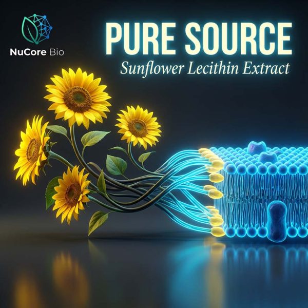 Phosphatidylserine Powder 50%-70% Purity | Pure Sunflower Lecithin Extract | Brain Health Supplement OEM/ODM Custom Logo