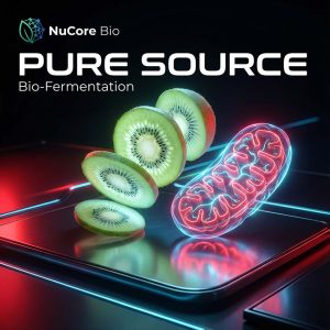 Bulk PQQ Powder 99% Purity HPLC | Pyrroloquinoline Quinone Capsules | Mitochondria Support Supplement OEM/ODM Private Label - Image 2