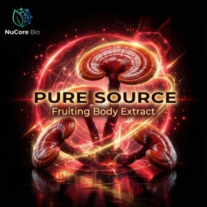 USDA Organic Reishi Mushroom Powder Bulk | High Polysaccharides & Triterpenes | Fruiting Body Extract OEM ODM | US Stock Fast Delivery - Image 2