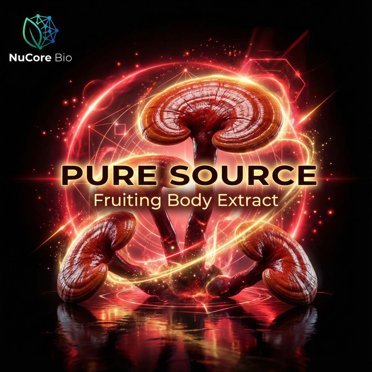 USDA Organic Reishi Mushroom Powder Bulk | High Polysaccharides & Triterpenes | Fruiting Body Extract OEM ODM | US Stock Fast Delivery - Image 2