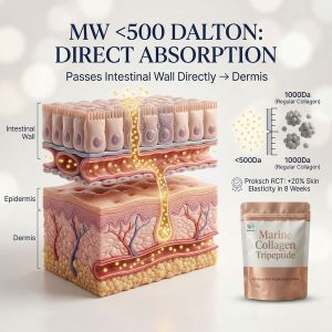 Bulk Marine Collagen Tripeptide Powder <500Da | Premium OEM/ODM Skin Brightening Supplement with Glutathione, HA & Biotin - Image 4