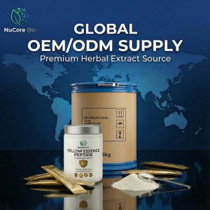 Yellow Essence Polygonatum Peptide Powder | 300-500 Dalton High Bioavailability | Bulk OEM/ODM Herbal Extract for Heart & Joint Support | Yellow Essence  Protein Peptide - Image 6