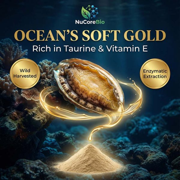 Abalone Peptide Powder | 500-1000 Dalton Small Molecule | Rich in Taurine & Vitamin E | Bulk OEM/ODM for Liver & Immune Support | Abalone Protein Peptide